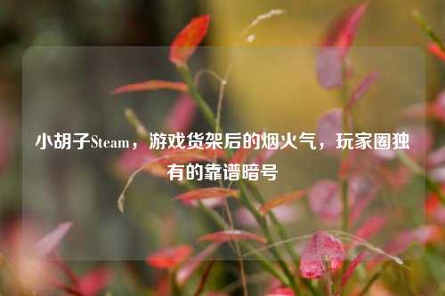 小胡子Steam,游戏货架后的烟火气,玩家圈独有的靠谱暗号