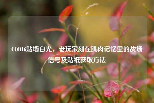 COD16贴墙白光,老玩家刻在肌肉记忆里的战场信号及贴纸获取方法