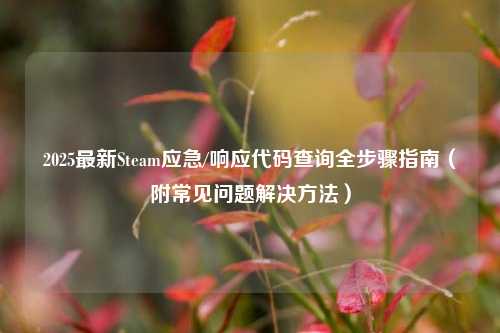 2025最新Steam应急/响应代码查询全步骤指南(附常见问题解决方法)