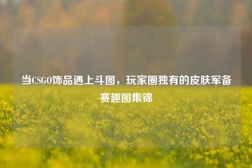 当CSGO饰品遇上斗图,玩家圈独有的皮肤军备赛趣图集锦