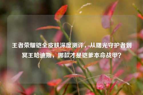 王者荣耀铠全皮肤深度测评，从曙光守护者到冥王哈迪斯，哪款才是铠爹本命战甲？
