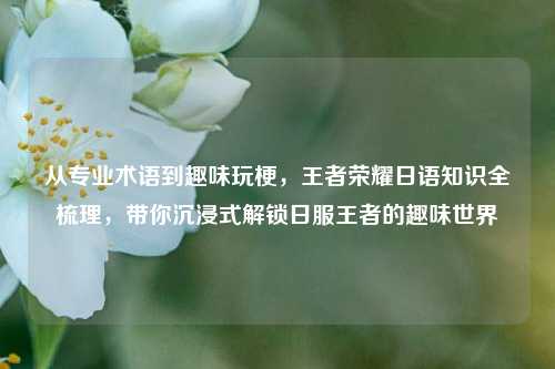 从专业术语到趣味玩梗,王者荣耀日语知识全梳理,带你沉浸式解锁日服王者的趣味世界