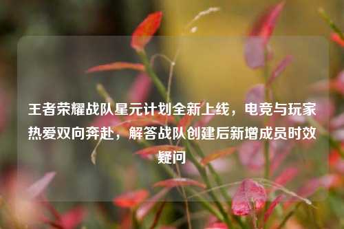 王者荣耀战队星元计划全新上线，电竞与玩家热爱双向奔赴，解答战队创建后新增成员时效疑问