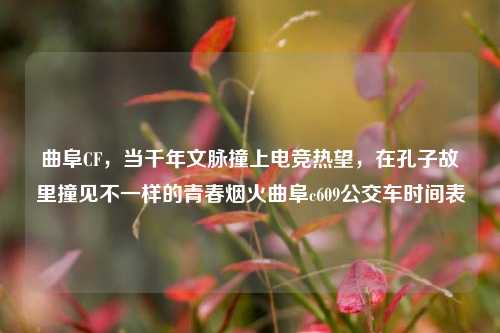 曲阜CF,当千年文脉撞上电竞热望,在孔子故里撞见不一样的青春烟火曲阜c609公交车时间表