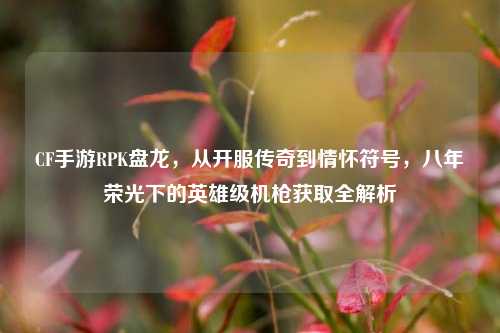 CF手游RPK盘龙，从开服传奇到情怀符号，八年荣光下的英雄级机枪获取全解析