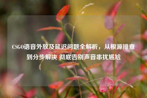 CSGO语音外放及延迟问题全解析,从根源排查到分步解决 彻底告别声音串扰尴尬