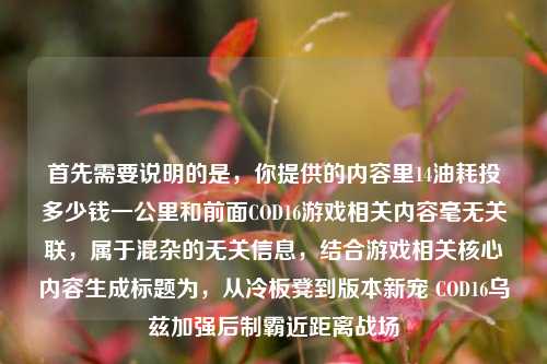 首先需要说明的是,你提供的内容里14油耗投多少钱一公里和前面COD16游戏相关内容毫无关联,属于混杂的无关信息,结合游戏相关核心内容生成标题为,从冷板凳到版本新宠 COD16乌兹加强后制霸近距离战场