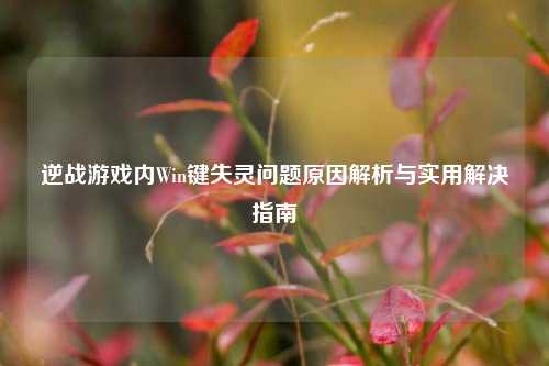 逆战游戏内Win键失灵问题原因解析与实用解决指南