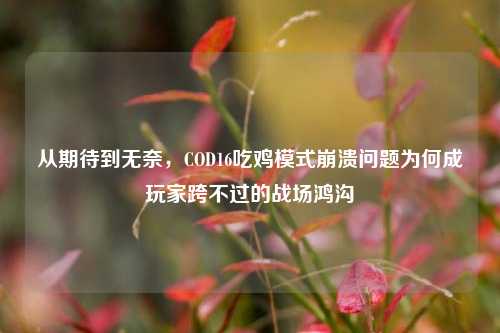 从期待到无奈，COD16吃鸡模式崩溃问题为何成玩家跨不过的战场鸿沟