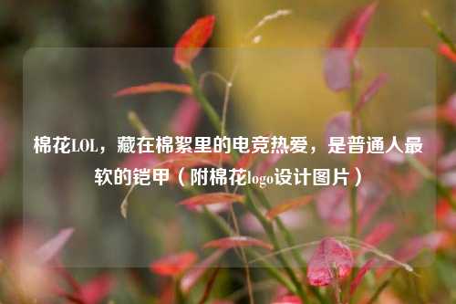 棉花LOL,藏在棉絮里的电竞热爱,是普通人最软的铠甲(附棉花logo设计图片)