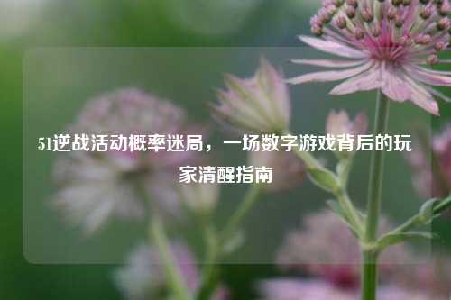 51逆战活动概率迷局,一场数字游戏背后的玩家清醒指南