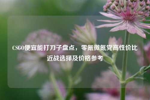 CSGO便宜能打刀子盘点，零氪微氪党高性价比近战选择及价格参考