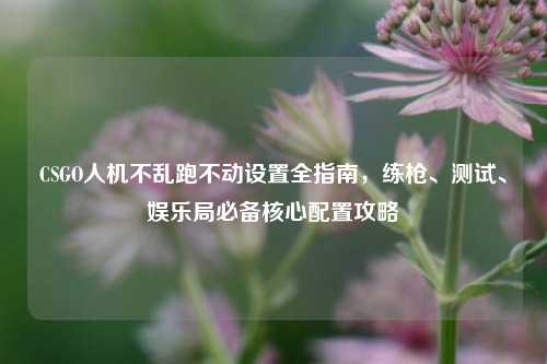 CSGO人机不乱跑不动设置全指南,练枪、测试、娱乐局必备核心配置攻略