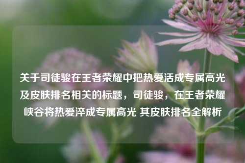 关于司徒骏在王者荣耀中把热爱活成专属高光及皮肤排名相关的标题，司徒骏，在王者荣耀峡谷将热爱淬成专属高光 其皮肤排名全解析