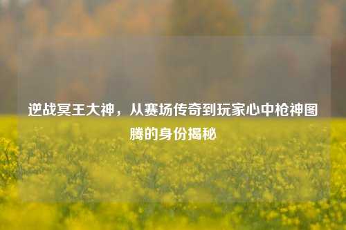 逆战冥王大神,从赛场传奇到玩家心中枪神图腾的身份揭秘