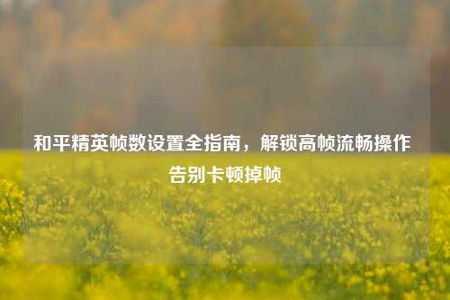 和平精英帧数设置全指南,解锁高帧流畅操作 告别卡顿掉帧