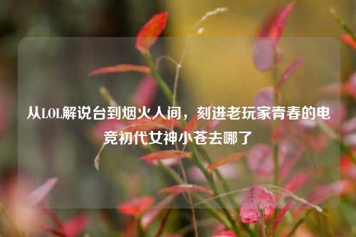 从LOL解说台到烟火人间，刻进老玩家青春的电竞初代女神小苍去哪了