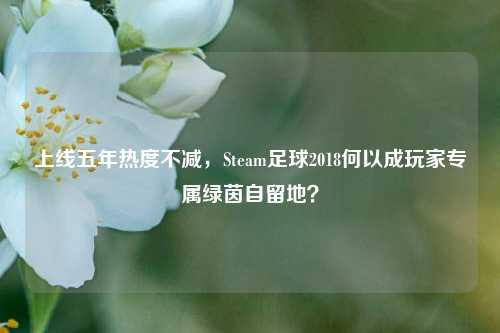 上线五年热度不减,Steam足球2018何以成玩家专属绿茵自留地?
