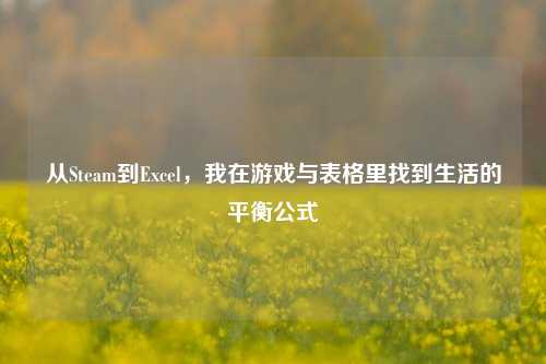 从Steam到Excel，我在游戏与表格里找到生活的平衡公式