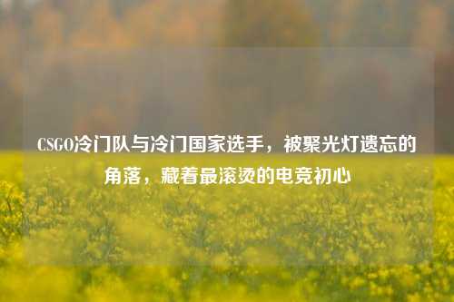 CSGO冷门队与冷门国家选手,被聚光灯遗忘的角落,藏着最滚烫的电竞初心