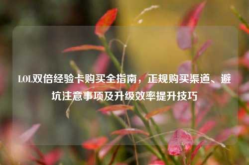 LOL双倍经验卡购买全指南,正规购买渠道、避坑注意事项及升级效率提升技巧