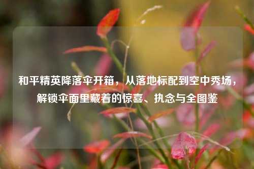 和平精英降落伞开箱，从落地标配到空中秀场，解锁伞面里藏着的惊喜、执念与全图鉴