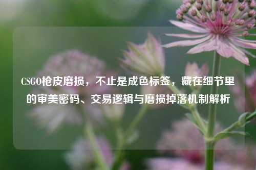 CSGO枪皮磨损,不止是成色标签,藏在细节里的审美密码、交易逻辑与磨损掉落机制解析