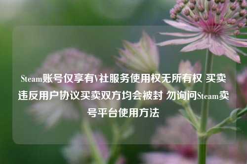 Steam账号仅享有V社服务使用权无所有权 买卖违反用户协议买卖双方均会被封 勿询问Steam卖号平台使用方法