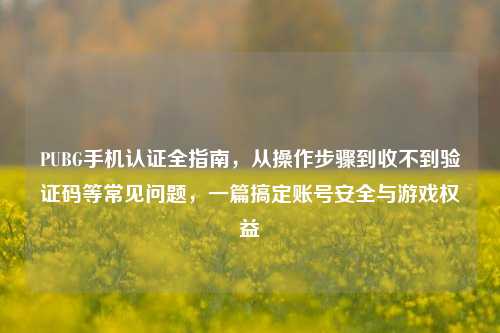 PUBG手机认证全指南,从操作步骤到收不到验证码等常见问题,一篇搞定账号安全与游戏权益