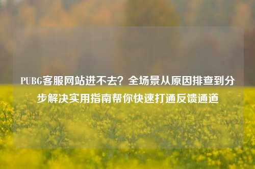 PUBG客服网站进不去？全场景从原因排查到分步解决实用指南帮你快速打通反馈通道