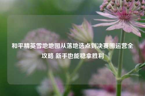 和平精英雪地地图从落地选点到决赛圈运营全攻略 新手也能稳拿胜利
