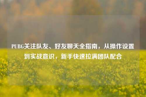 PUBG关注队友、好友聊天全指南，从操作设置到实战意识，新手快速拉满团队配合