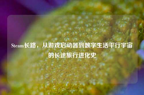 Steam长路，从游戏启动器到数字生活平行宇宙的长途旅行进化史