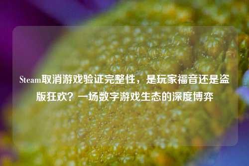 Steam取消游戏验证完整性,是玩家福音还是盗版狂欢?一场数字游戏生态的深度博弈