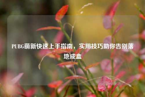 PUBG萌新快速上手指南，实用技巧助你告别落地成盒