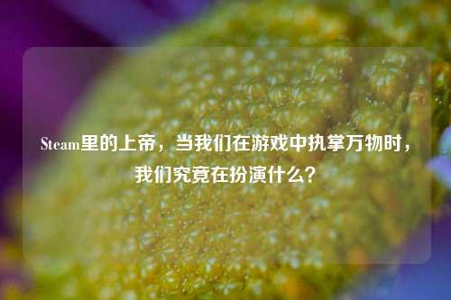Steam里的上帝，当我们在游戏中执掌万物时，我们究竟在扮演什么？