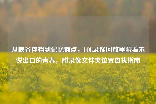 从峡谷存档到记忆锚点,LOL录像回放里藏着未说出口的青春,附录像文件夹位置查找指南