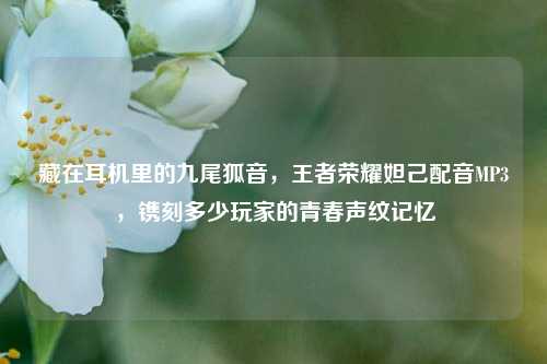 藏在耳机里的九尾狐音，王者荣耀妲己配音MP3，镌刻多少玩家的青春声纹记忆