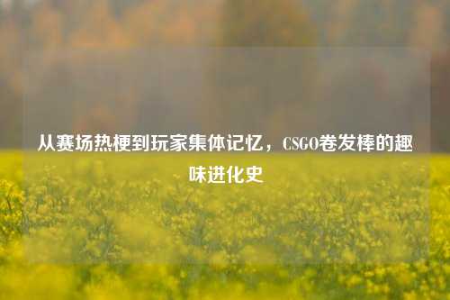 从赛场热梗到玩家集体记忆，CSGO卷发棒的趣味进化史