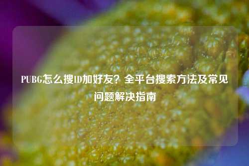 PUBG怎么搜ID加好友？全平台搜索方法及常见问题解决指南
