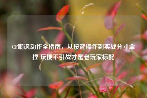 CF嘲讽动作全指南，从按键操作到实战分寸拿捏 玩梗不引战才是老玩家标配