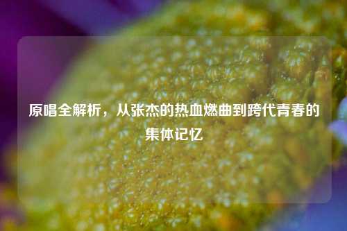 原唱全解析,从张杰的热血燃曲到跨代青春的集体记忆