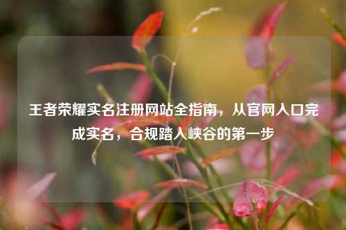 王者荣耀实名注册网站全指南,从官网入口完成实名,合规踏入峡谷的第一步