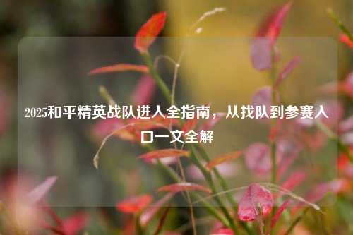 2025和平精英战队进入全指南,从找队到参赛入口一文全解