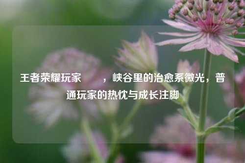 王者荣耀玩家玥玥,峡谷里的治愈系微光,普通玩家的热忱与成长注脚