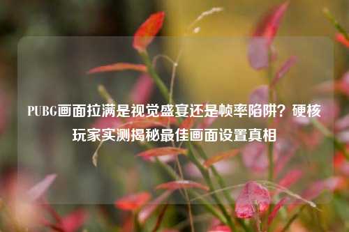 PUBG画面拉满是视觉盛宴还是帧率陷阱?硬核玩家实测揭秘最佳画面设置真相