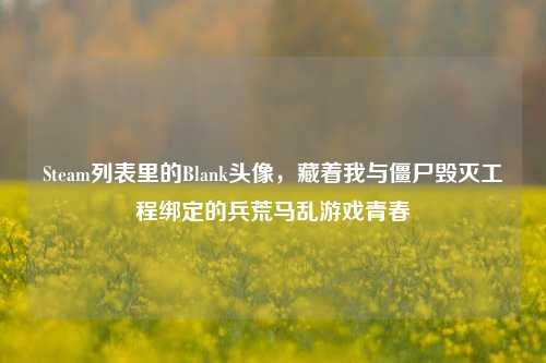Steam列表里的Blank头像，藏着我与僵尸毁灭工程绑定的兵荒马乱游戏青春