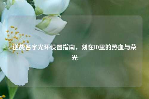 逆战名字光环设置指南，刻在ID里的热血与荣光