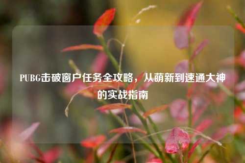 PUBG击破窗户任务全攻略，从萌新到速通大神的实战指南
