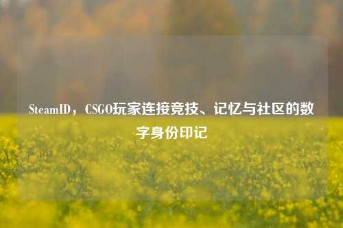 SteamID,CSGO玩家连接竞技、记忆与社区的数字身份印记